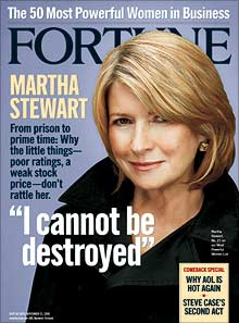 martha stewart stock trading case and conviction